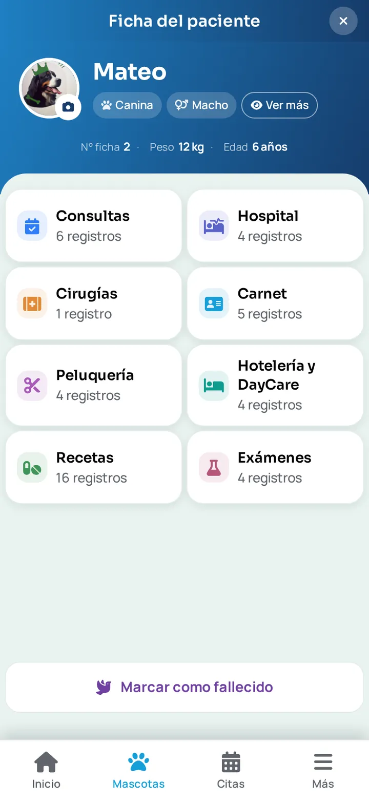 Ficha clínica de una mascota en la app WireVet Tutores con los ocho accesos al historial: consultas, hospital, cirugías, carnet, peluquería, hotelería y DayCare, recetas y exámenes, cada uno con su número de registros