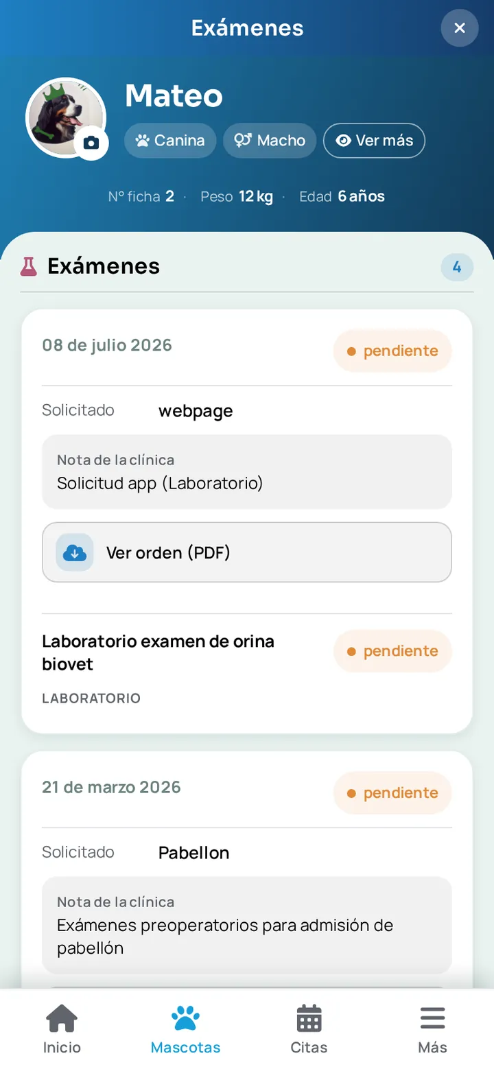 Exámenes de una mascota en la app WireVet Tutores, con los resultados agrupados por orden médica