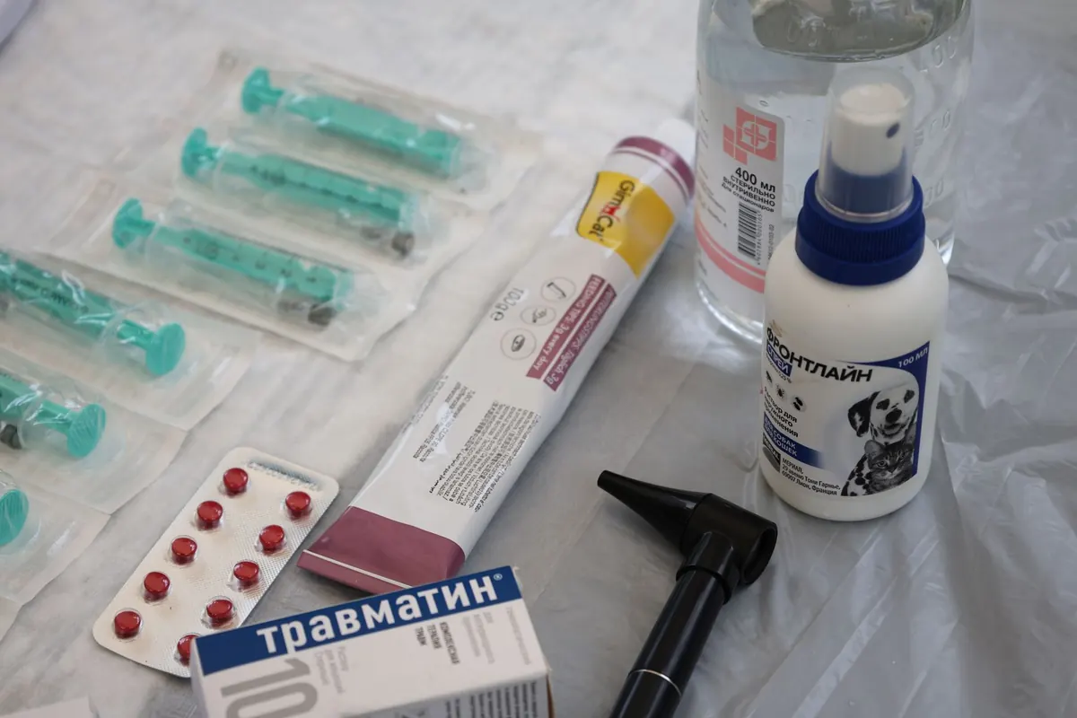 Estantería con insumos y medicamentos en la farmacia de una clínica veterinaria