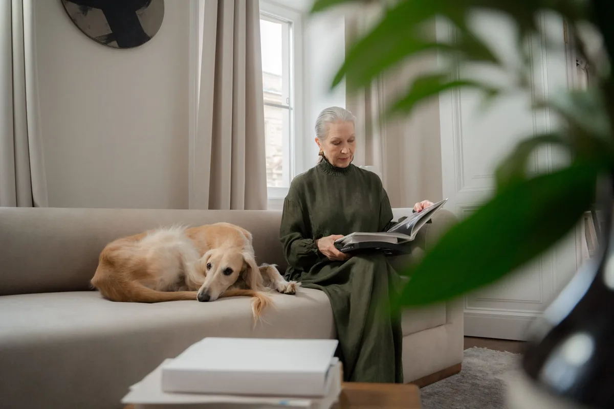Perro adulto mayor descansando tranquilo mientras recibe cuidados paliativos en casa