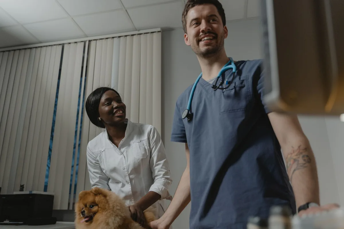 Veterinaria registra la consulta en la ficha clínica electrónica desde un computador
