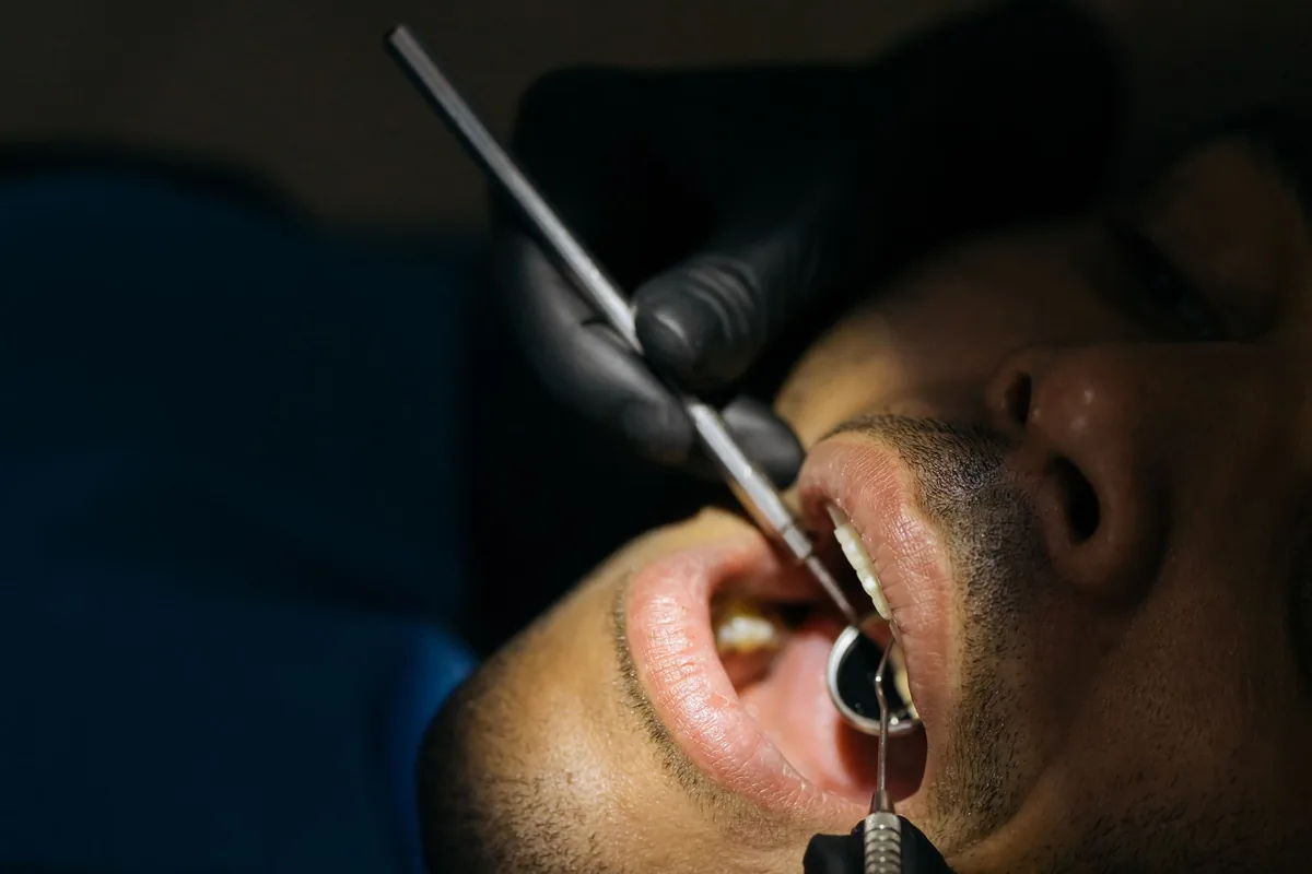 Revisión de la boca y los dientes de un gato en la consulta veterinaria