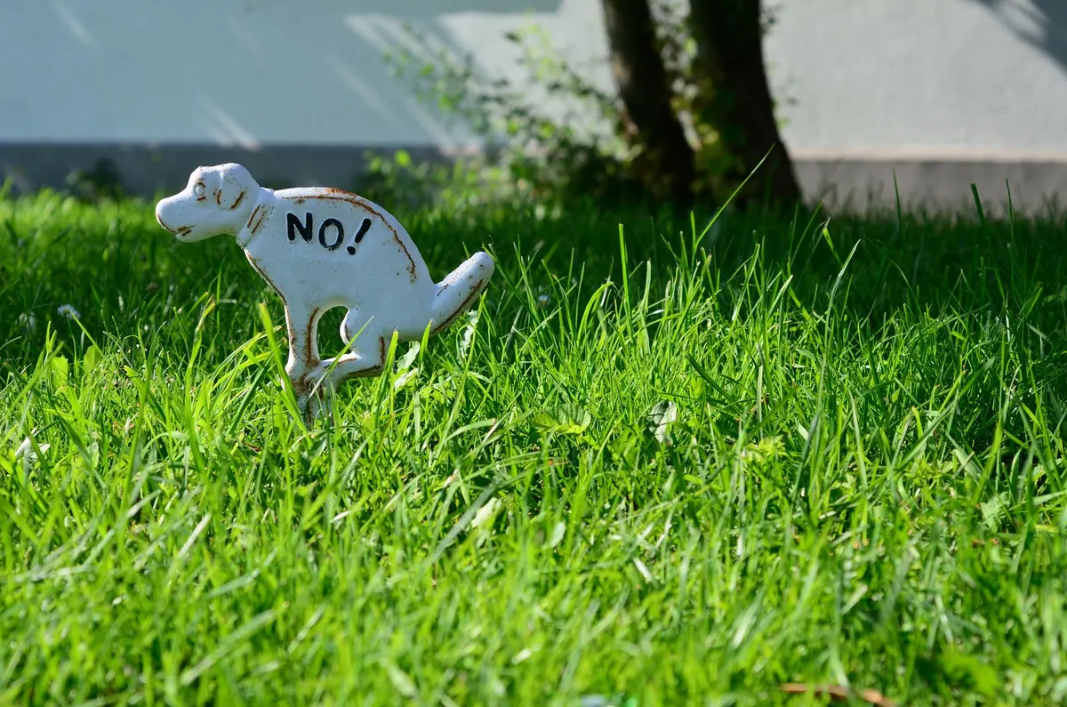 Figura de perro en un césped verde con un letrero que pide no hacer sus necesidades, alusión a los problemas urinarios