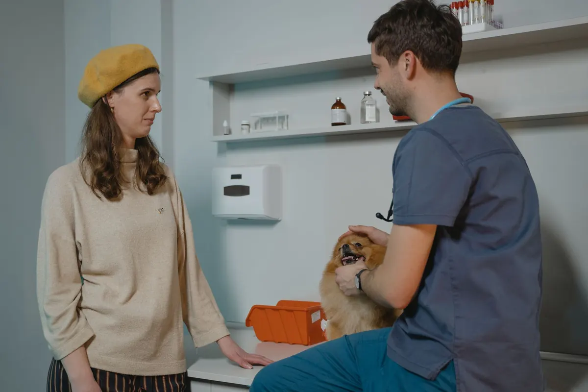 Médico veterinario conversa con una tutora mientras sostiene a su perro pomerania en la consulta