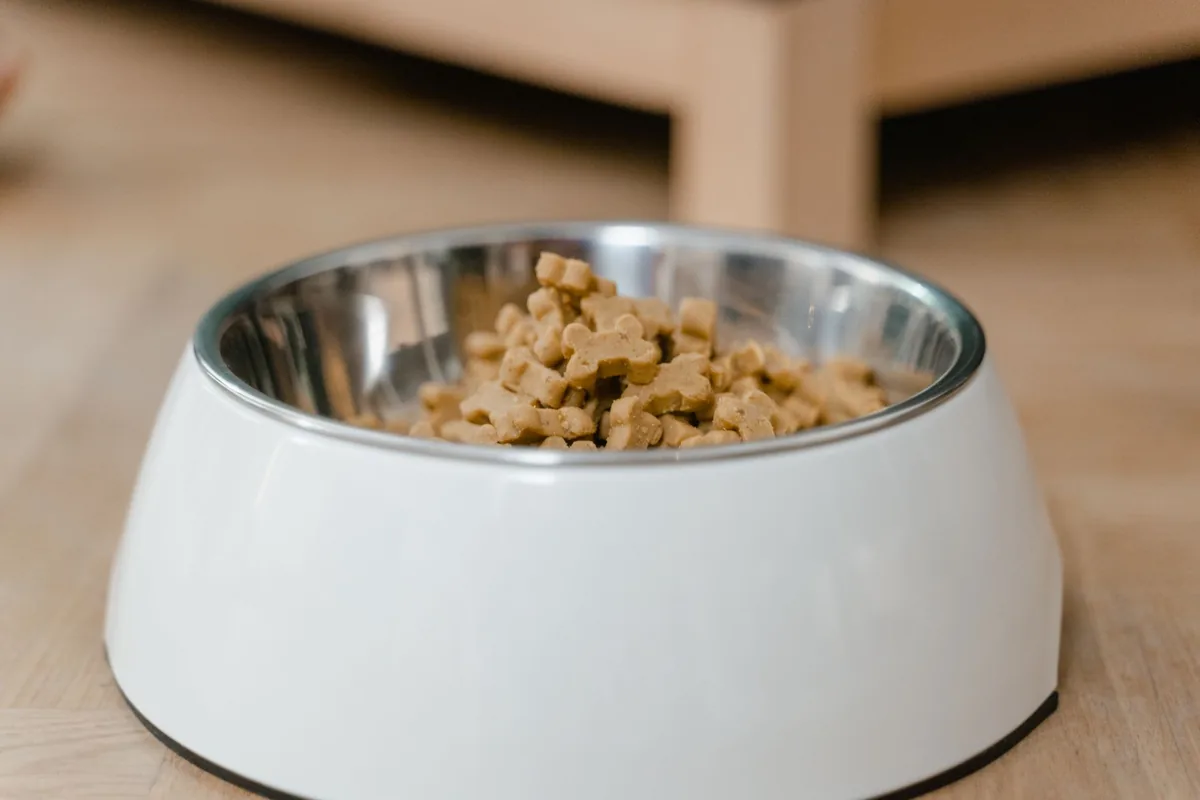 Plato con alimento seco para perro junto a un saco de comida en la cocina