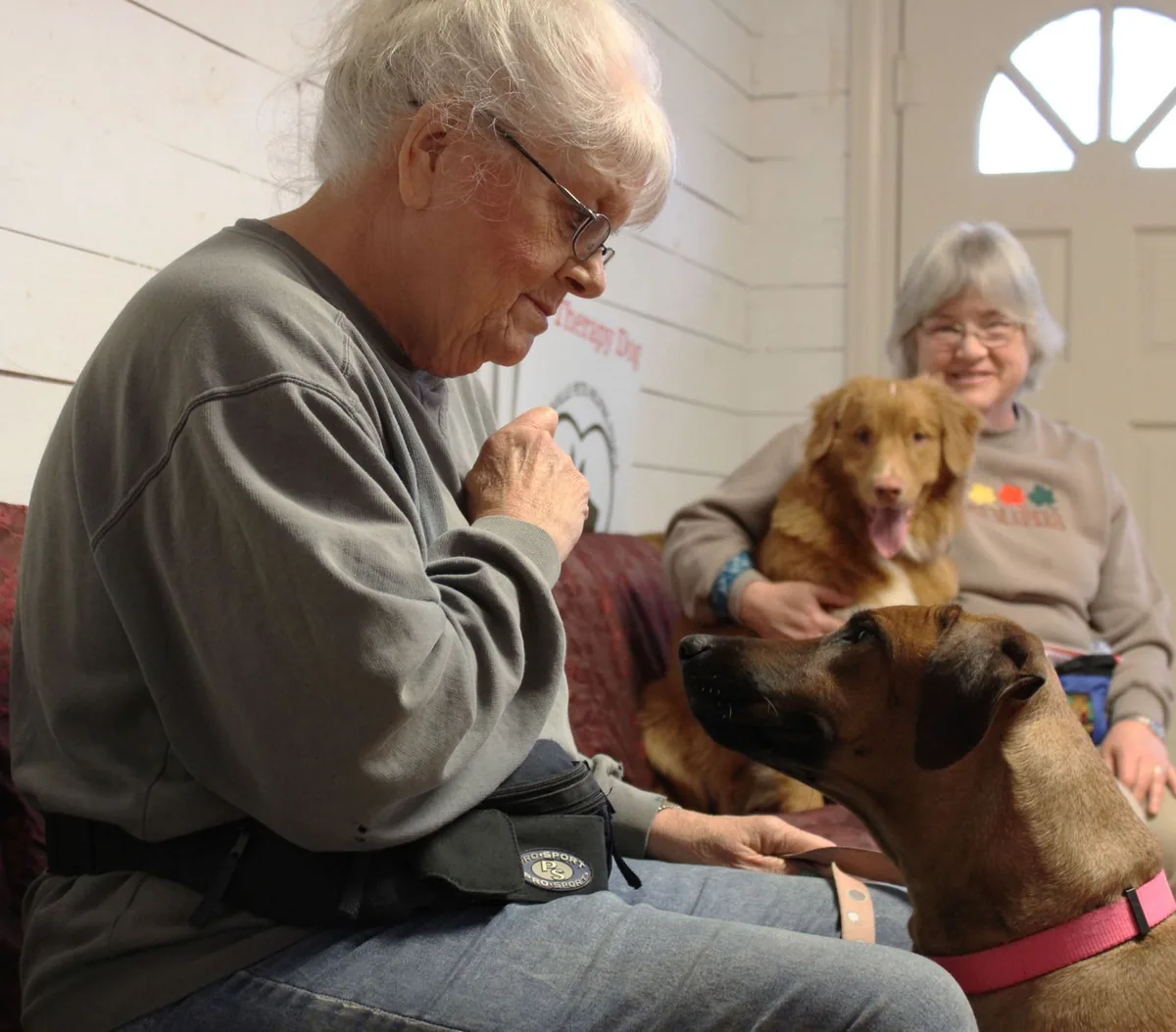 Médica veterinaria atendiendo a un perro adulto con dificultad para moverse
