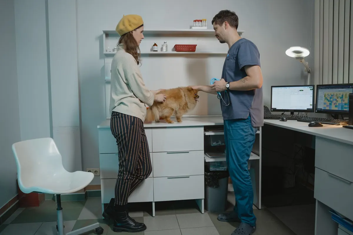 Médico veterinario conversando con una tutora mientras examina a un perro pomerania en la consulta
