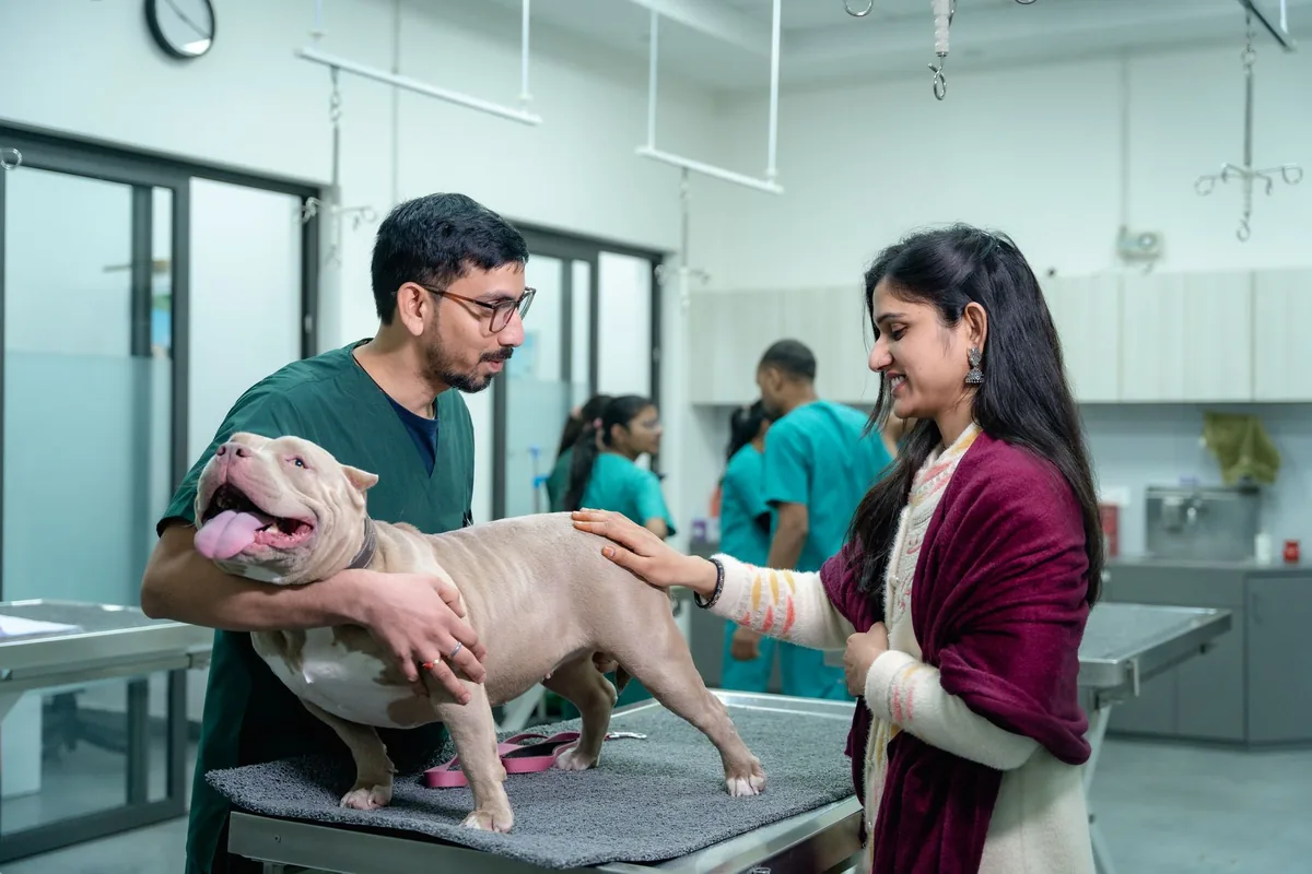 Recepción de una clínica veterinaria con personal atendiendo el mesón