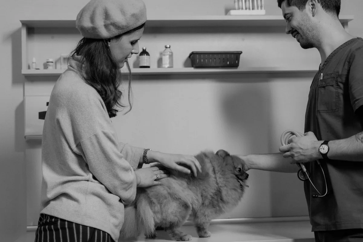 Médica veterinaria atendiendo a un perro en el living de una casa durante una visita a domicilio