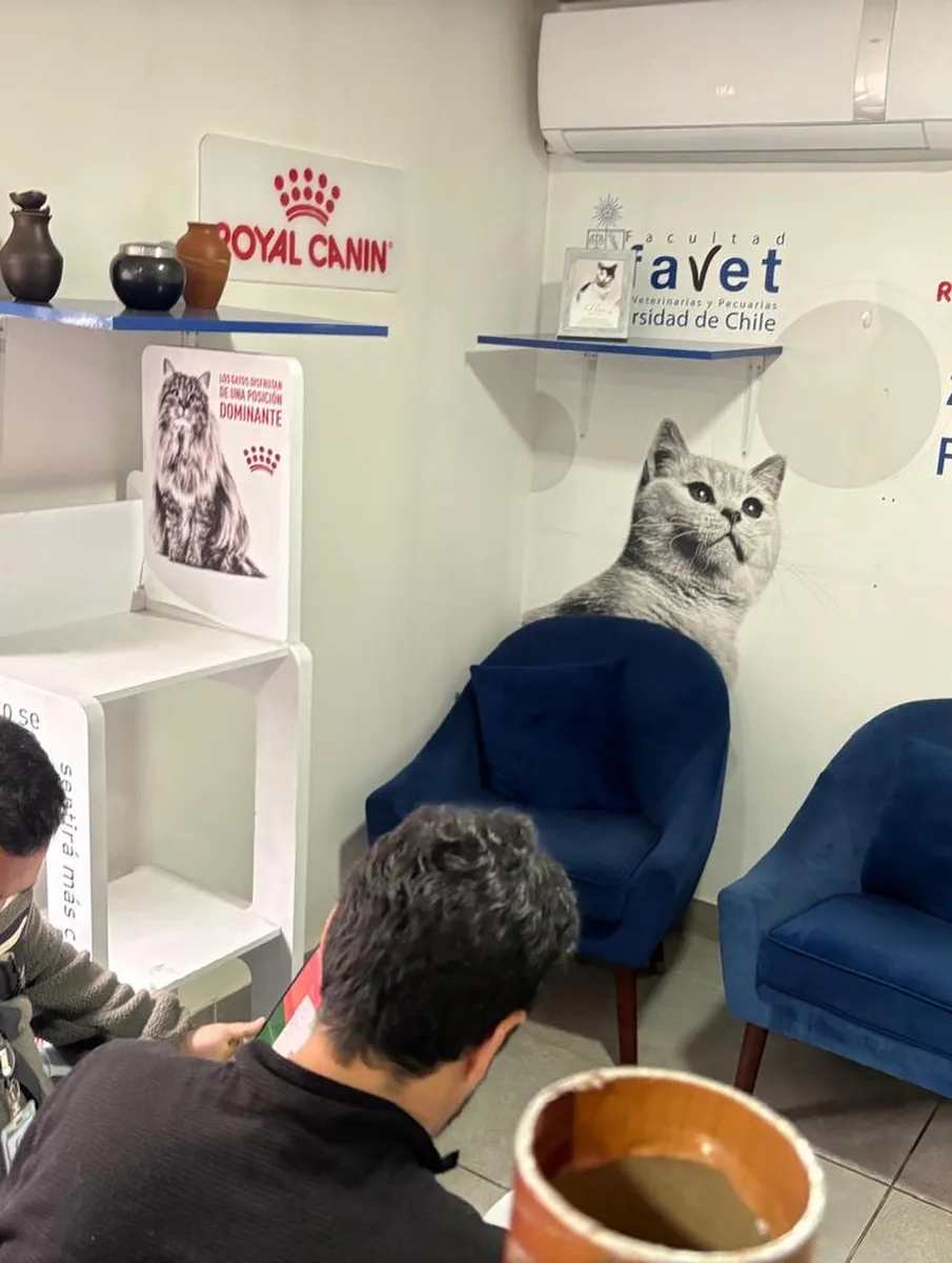 Sala de espera del centro con el logotipo de la Facultad de Ciencias Veterinarias y Pecuarias de la Universidad de Chile