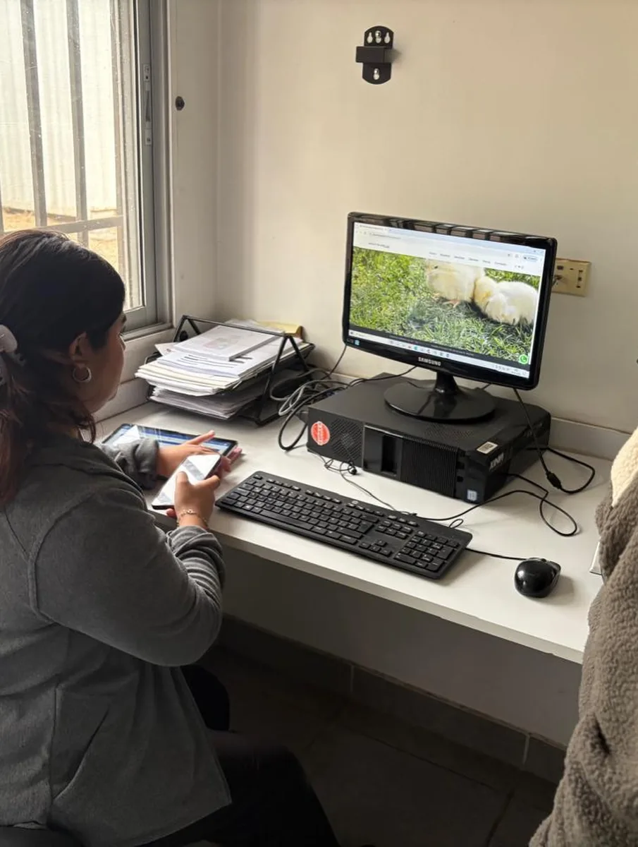 Profesional del centro trabajando con Wirevet en el computador durante la jornada de atención