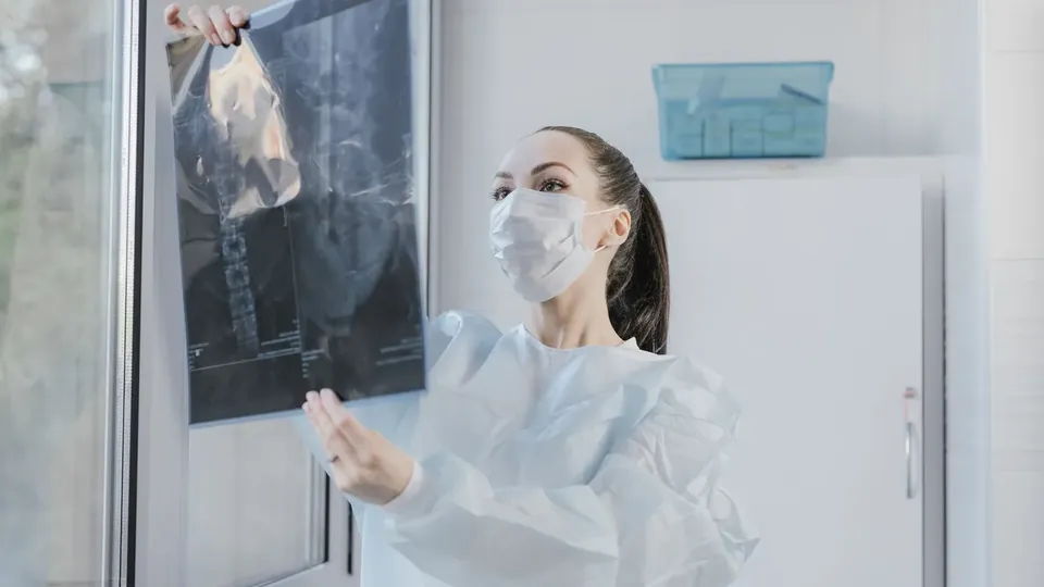 Veterinaria observando una radiografía a contraluz
