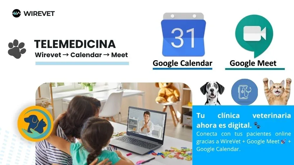 Consulta veterinaria por videollamada