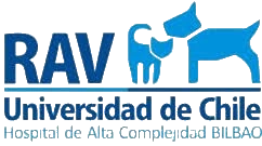 RAV Universidad de Chile — Hospital de Alta Complejidad Bilbao