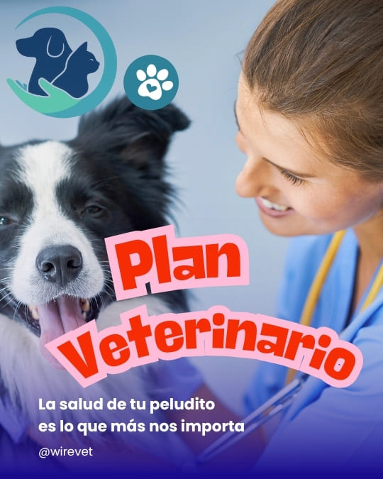 Imagen de wirevet para plan veterinario desde $19.990