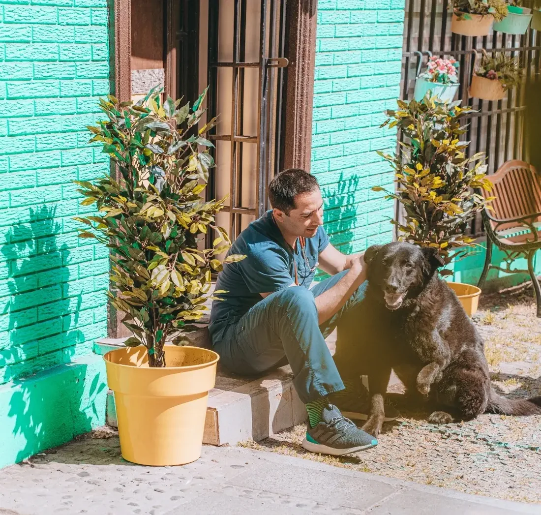 Consulta diagnóstica en Vet Friends Veterinaria